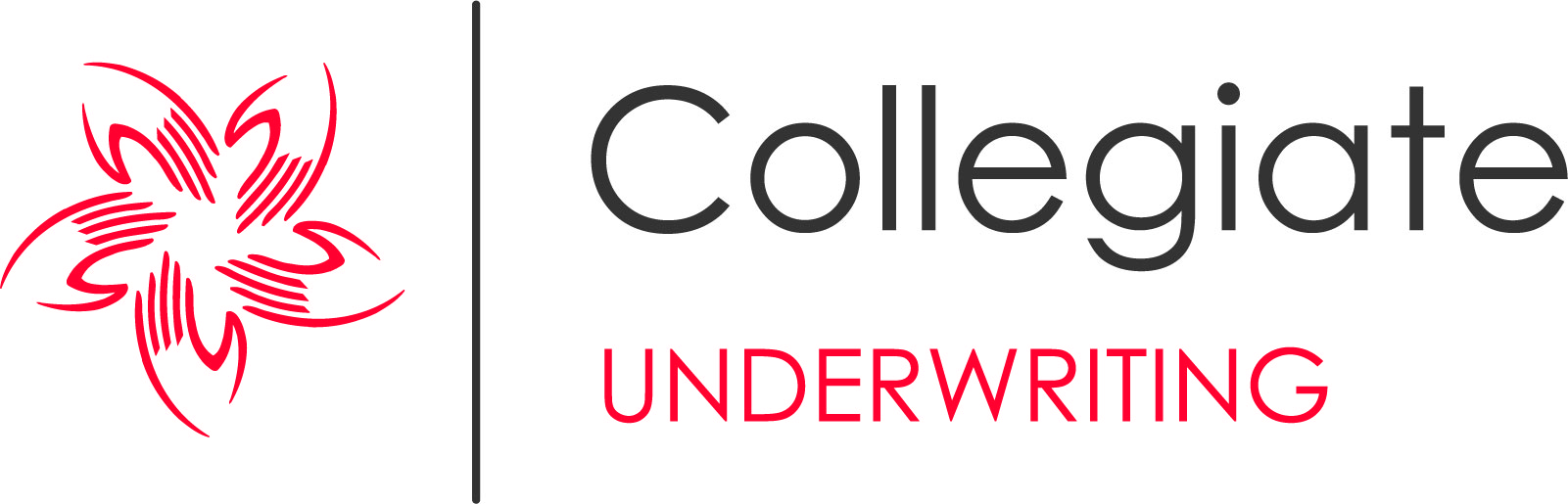 Collegiate Image